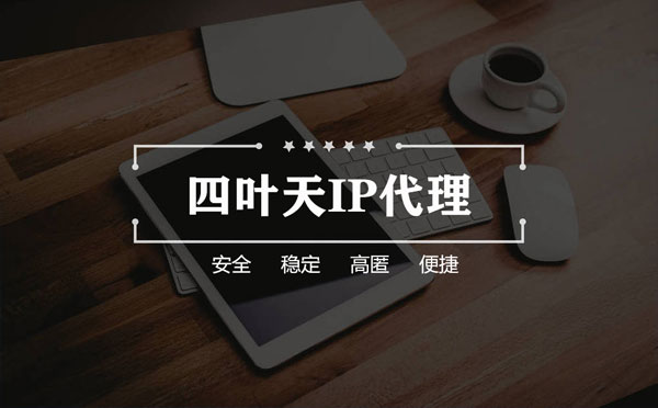 【六安代理IP】如何快速搭建代理IP？怎么检查代理的效果？